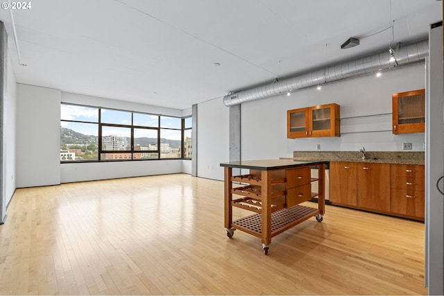 kitchen with sink and light hardwood / wood-style flooring