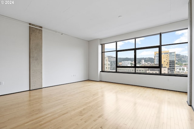 spare room featuring light hardwood / wood-style flooring and a healthy amount of sunlight