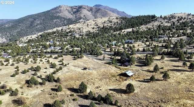 view of mountain feature