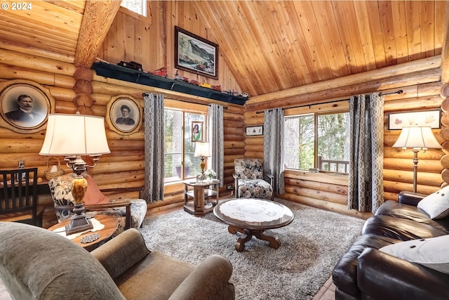 living area featuring a healthy amount of sunlight and rustic walls