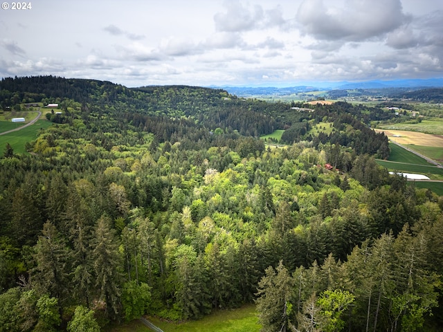 view of bird's eye view