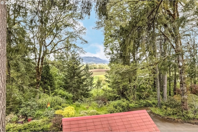 view of yard with a mountain view