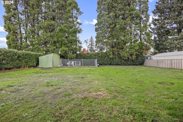 view of yard featuring a shed