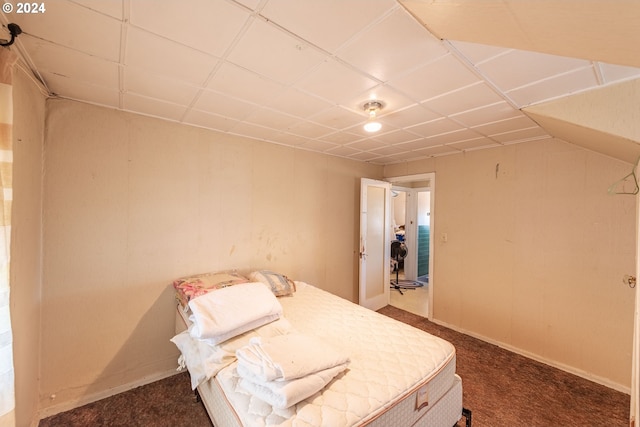 bedroom featuring dark colored carpet