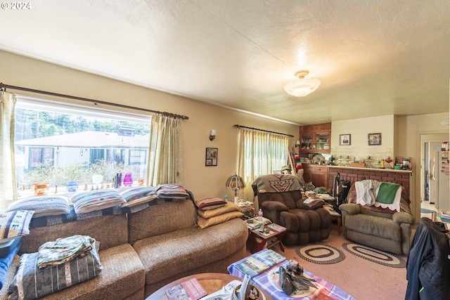 living room with a textured ceiling