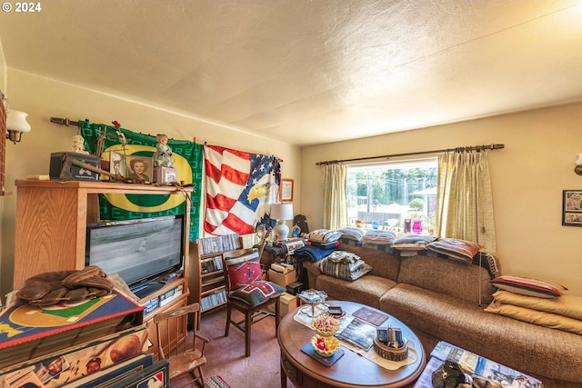 carpeted living room with a textured ceiling