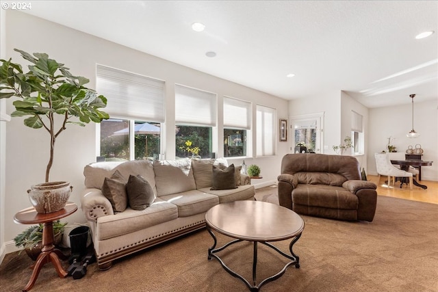 living room featuring hardwood / wood-style floors