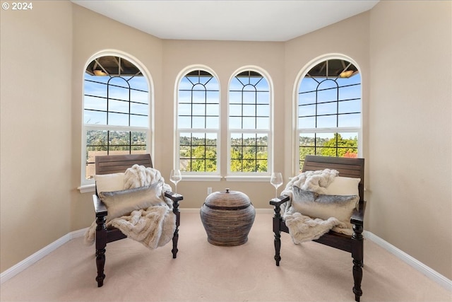 carpeted bedroom featuring ensuite bathroom