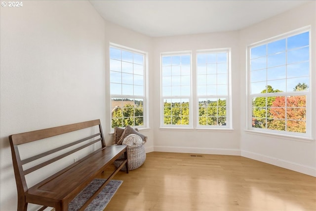 living area featuring light hardwood / wood-style flooring