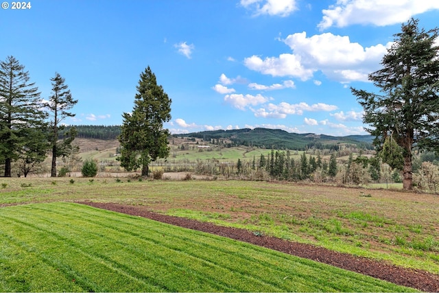 31248 Valley View Ln, Cottage Grove, OR 97424 - mountain view featuring rural landscape