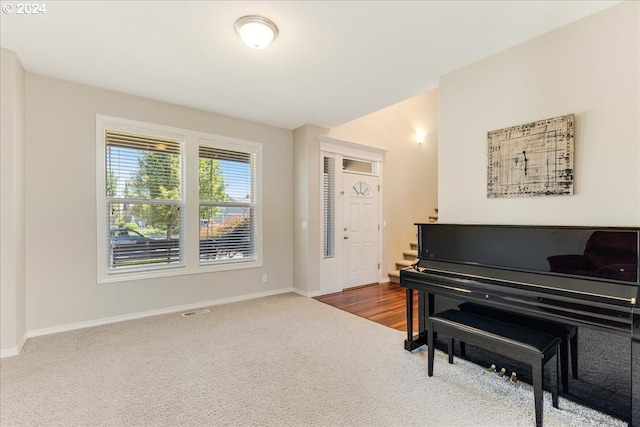 miscellaneous room featuring carpet floors