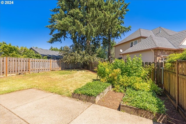 view of yard featuring a patio area