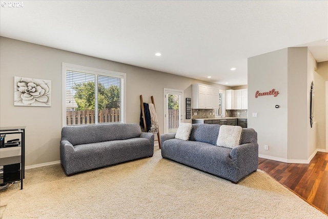 living room featuring hardwood / wood-style flooring