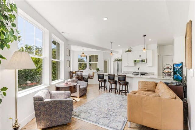 living room featuring a healthy amount of sunlight, light hardwood / wood-style floors, and sink