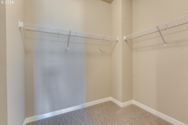 walk in closet with carpet