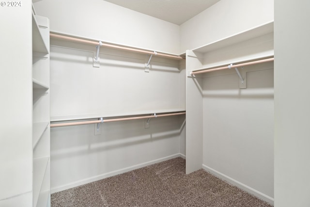 spacious closet featuring carpet floors