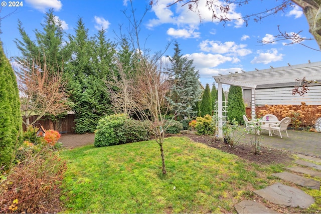 view of yard with a pergola and a patio