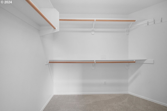 spacious closet with carpet flooring