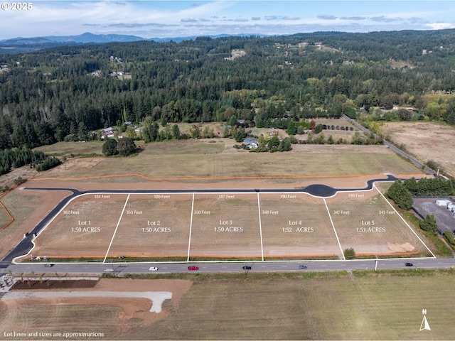 aerial view with a mountain view