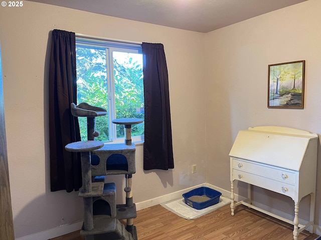 miscellaneous room with wood-type flooring