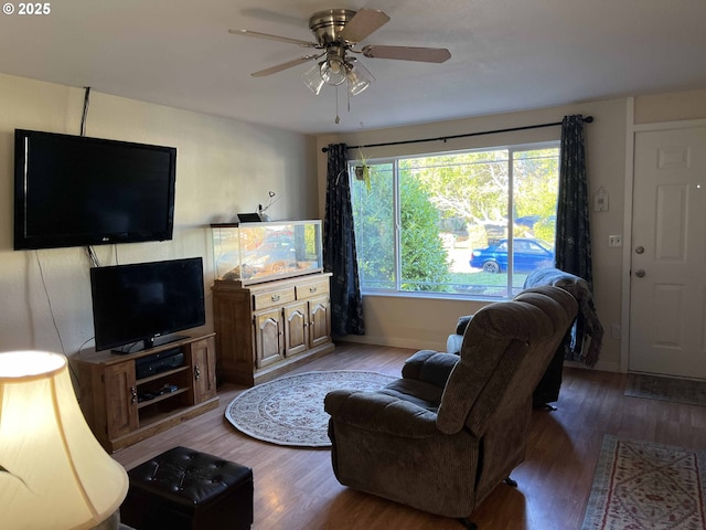 living room with ceiling fan and wood-type flooring