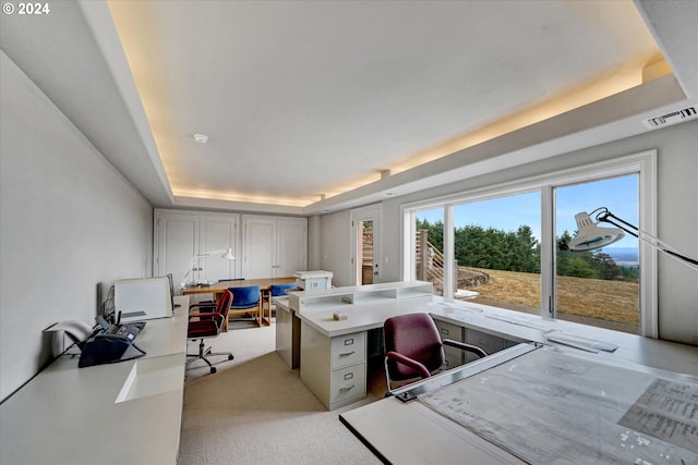 office with carpet and a tray ceiling