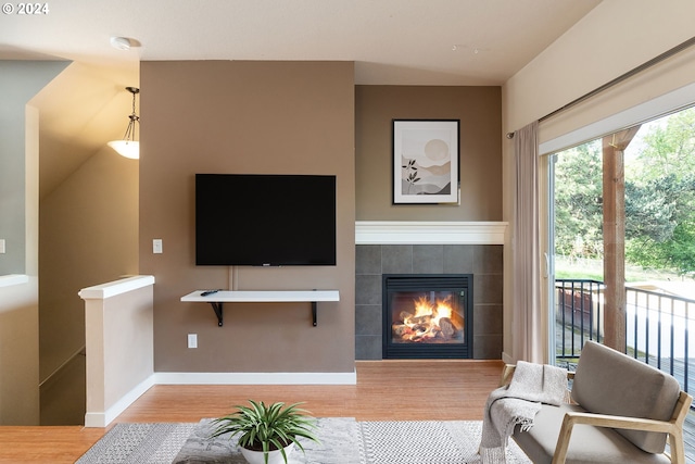 living room featuring wood-type flooring and a fireplace