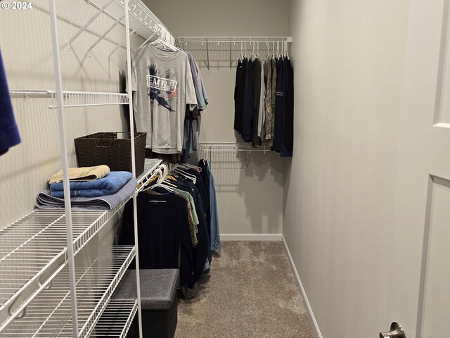 walk in closet featuring carpet floors