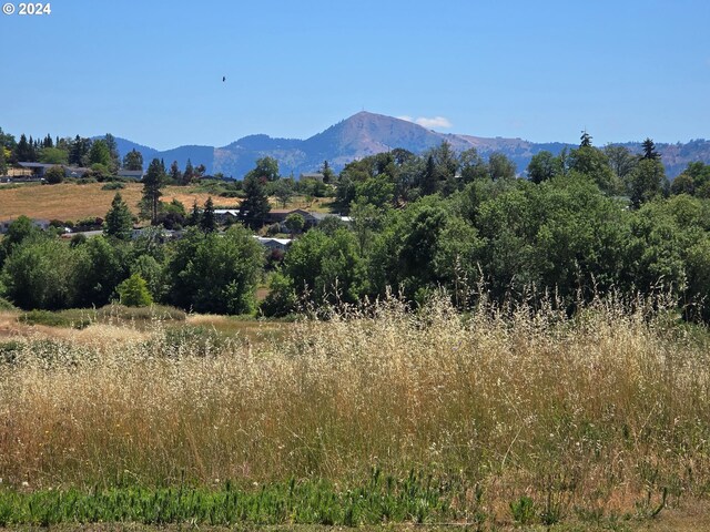 view of mountain feature