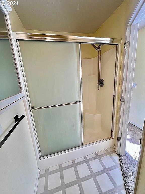 bathroom with a shower with shower door