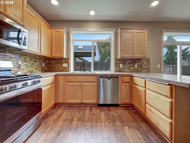 kitchen with sink, dark hardwood / wood-style flooring, a healthy amount of sunlight, and appliances with stainless steel finishes