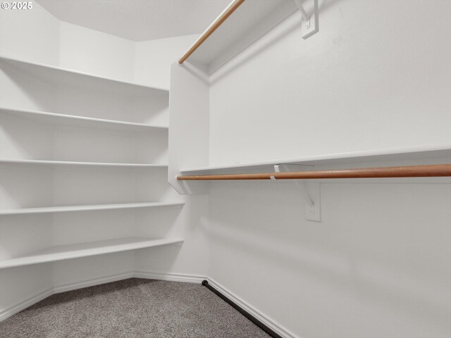 walk in closet featuring carpet flooring