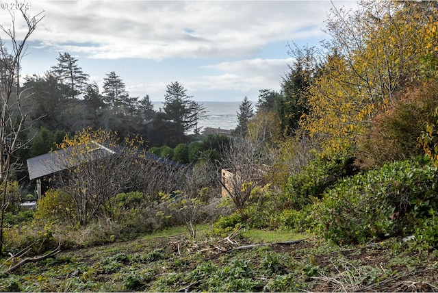 view of landscape featuring a water view