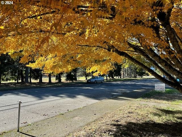 view of road