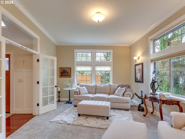 living room with french doors, carpet, and ornamental molding