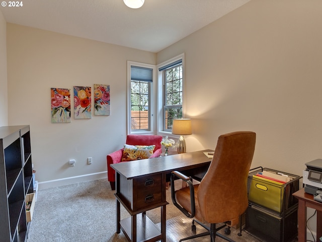 home office with light colored carpet