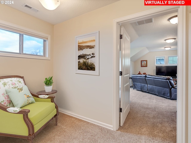 living area featuring light colored carpet and a textured ceiling