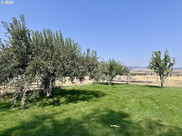 view of yard featuring fence and a rural view