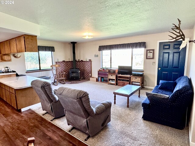 carpeted living room with a wealth of natural light, a wood stove, and a textured ceiling