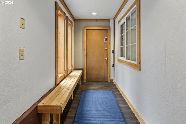 doorway featuring dark hardwood / wood-style flooring