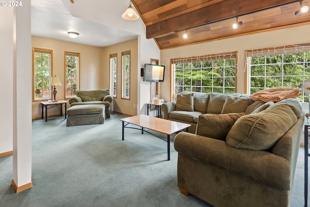 living room with carpet, rail lighting, lofted ceiling with beams, and plenty of natural light