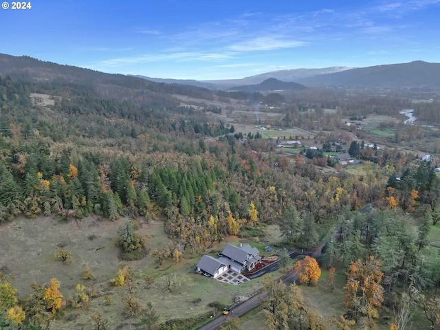 birds eye view of property featuring a mountain view