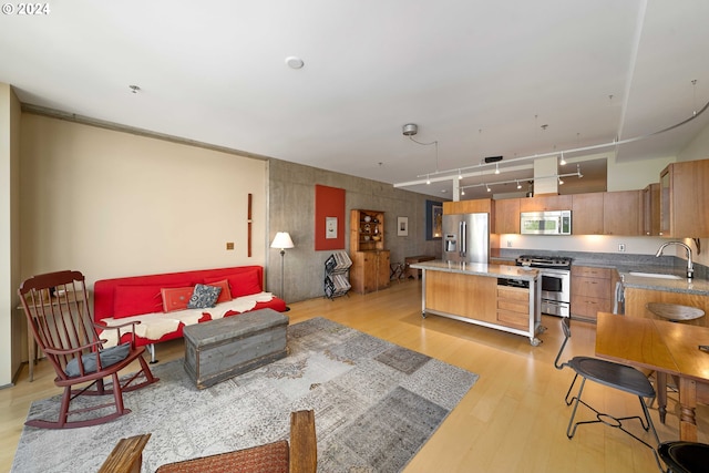 living room featuring sink and light wood-type flooring