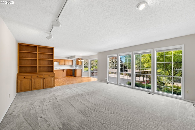 5393 SW Wichita St, Tualatin, OR 97062 - unfurnished living room featuring light colored carpet, a textured ceiling, rail lighting, and baseboards