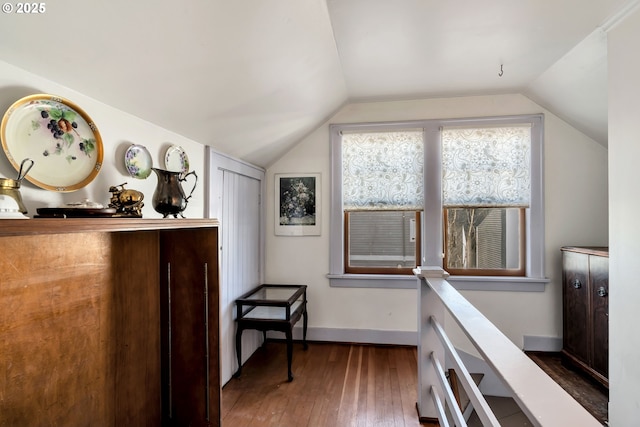 interior space featuring vaulted ceiling and dark hardwood / wood-style floors