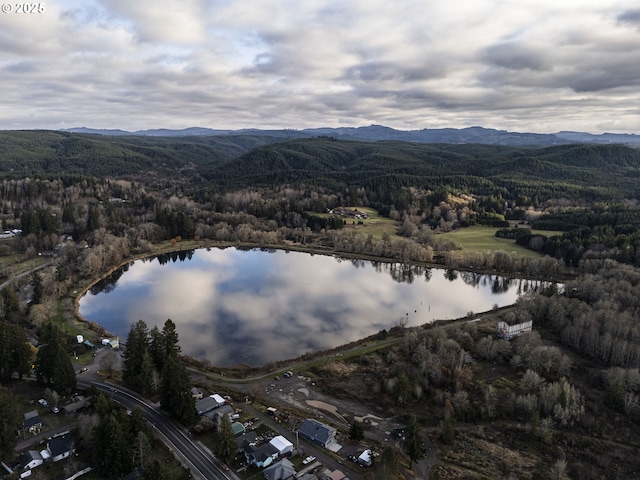 drone / aerial view with a water and mountain view