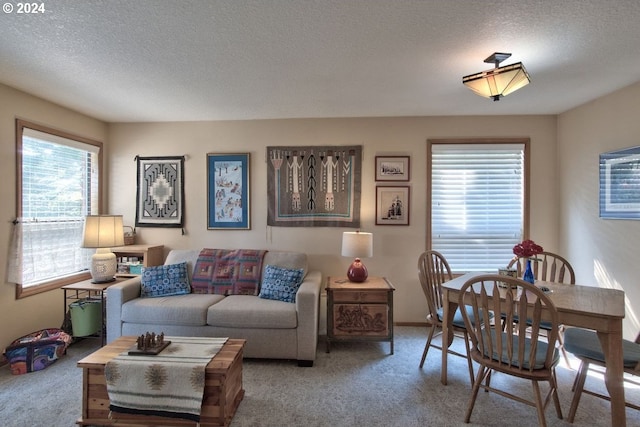 living room featuring carpet flooring and a textured ceiling