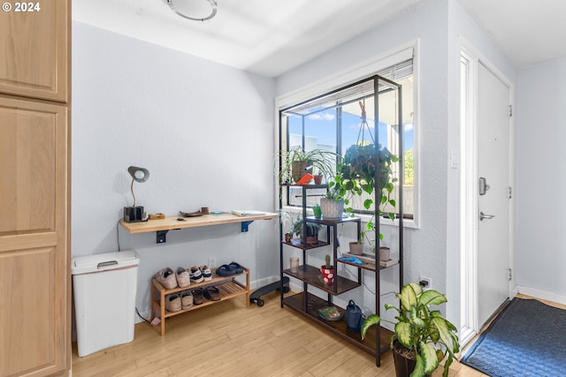 interior space featuring light hardwood / wood-style flooring