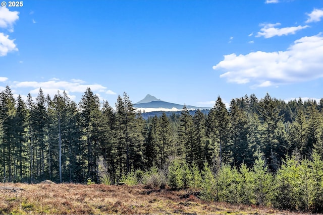 property view of mountains