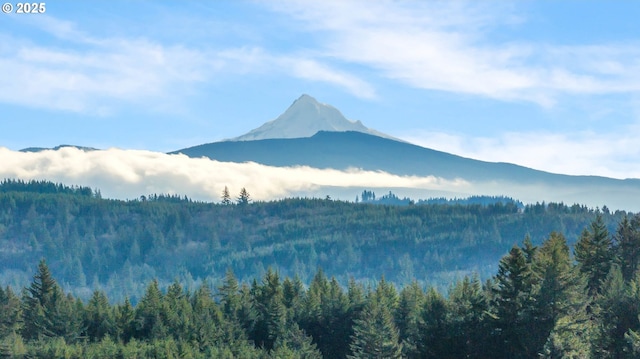 property view of mountains